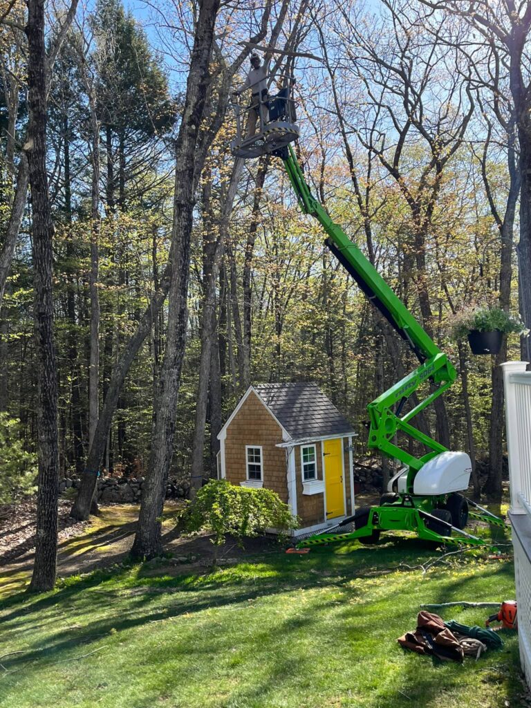 470219705 602999032402477 9100143663624550199 n