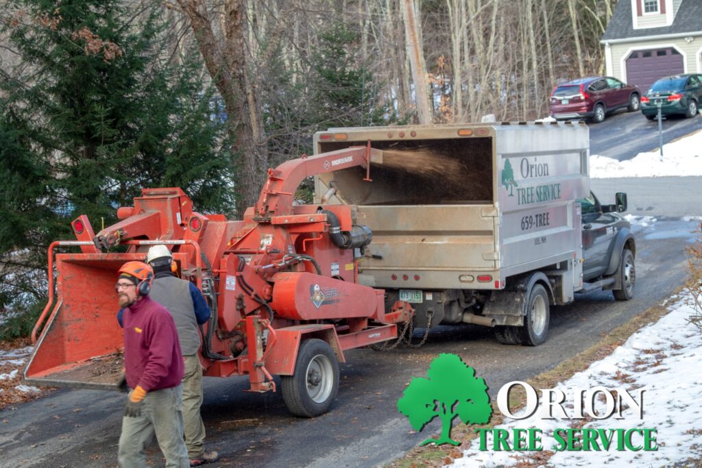 471429115 613469304688783 727997944641277151 n