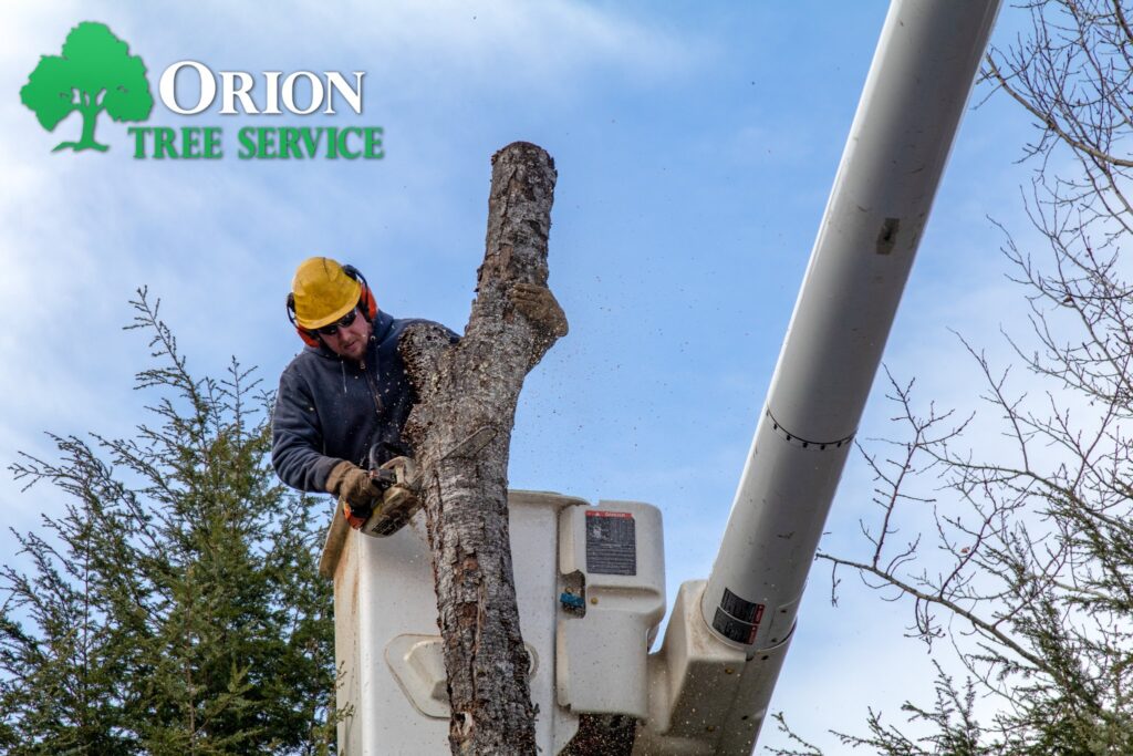 471553595 613470484688665 1910523834505875460 n