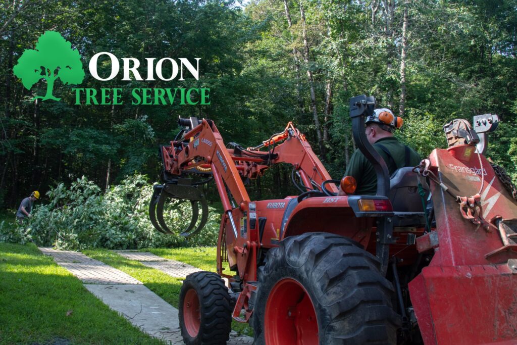 471656533 613469064688807 5981147384673421333 n