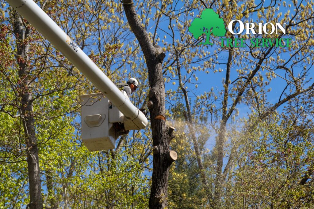 471814004 613470271355353 3643766363755768031 n