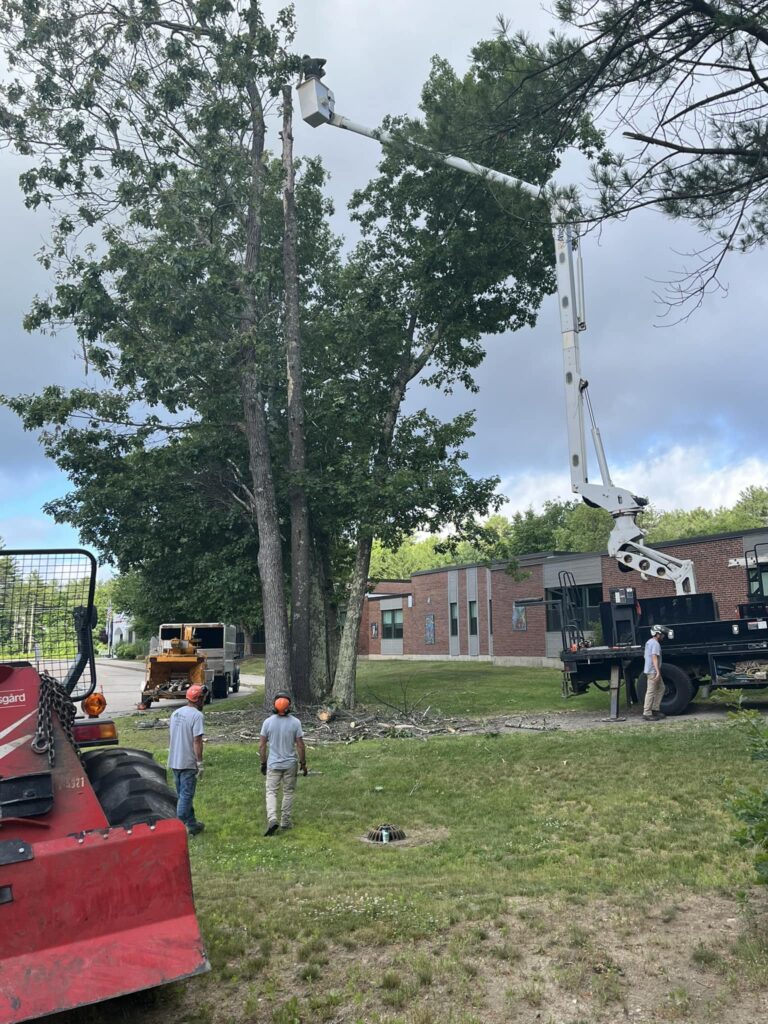 472326616 620489243986789 6386315671252805374 n