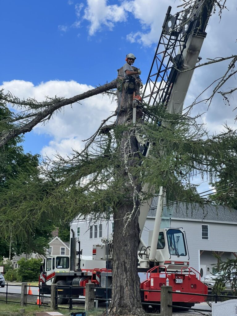 472920353 621774393858274 6383887149617457903 n