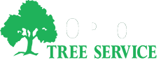 Orion Tree Service