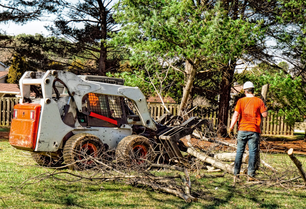 tree care new hampshire tree service