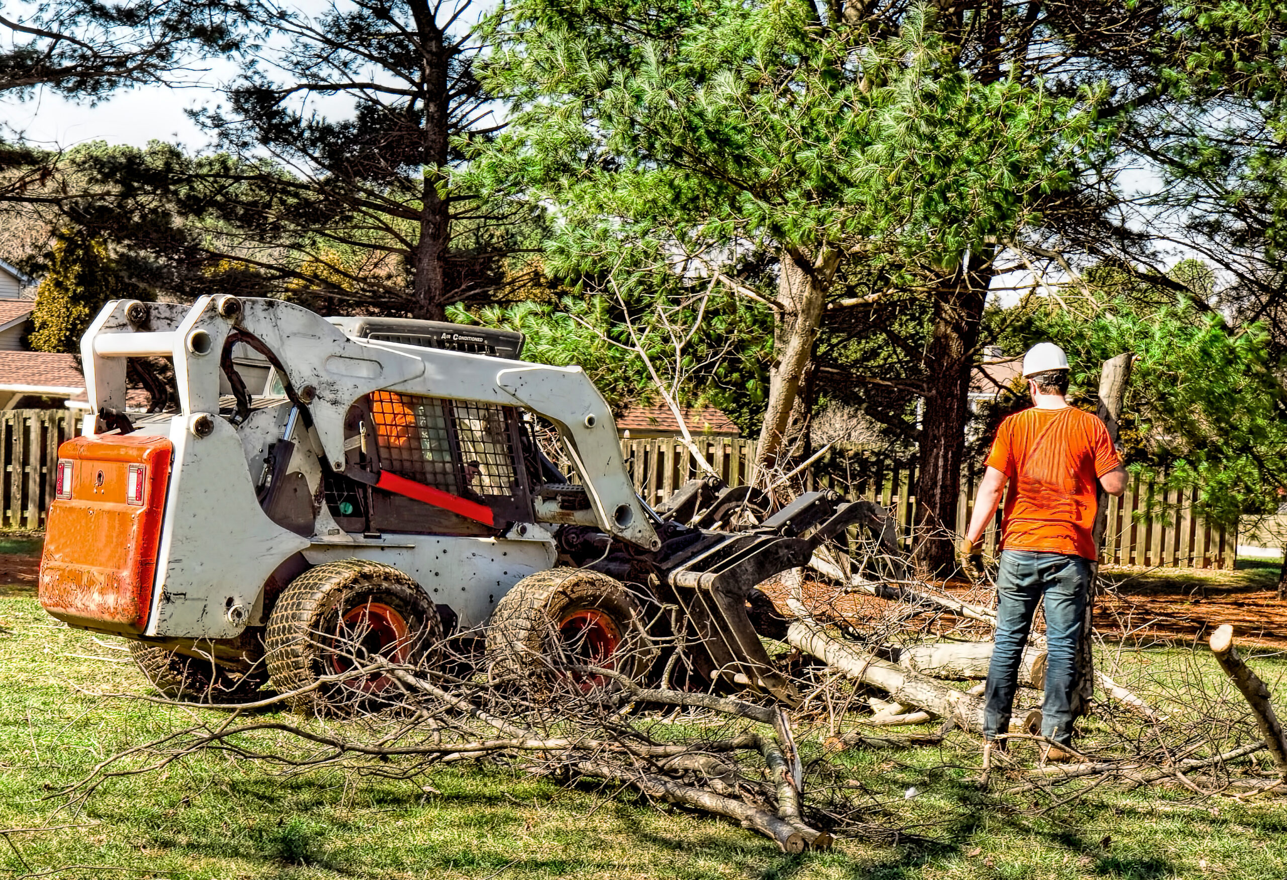 tree care new hampshire tree service