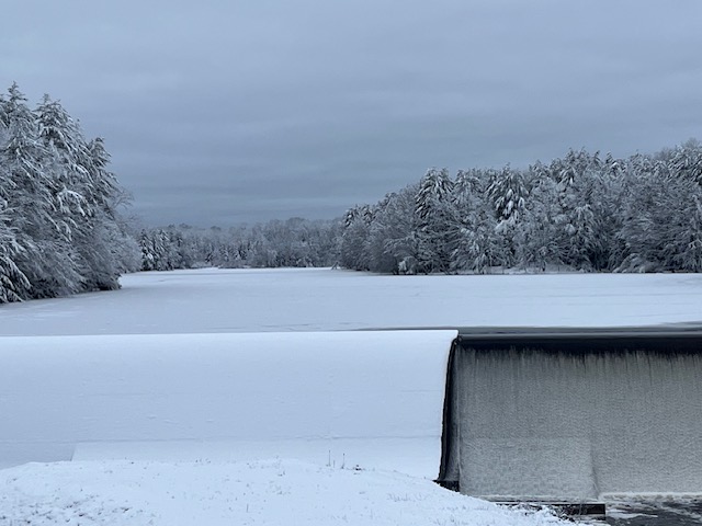 orion tree service lee nh tree company 1