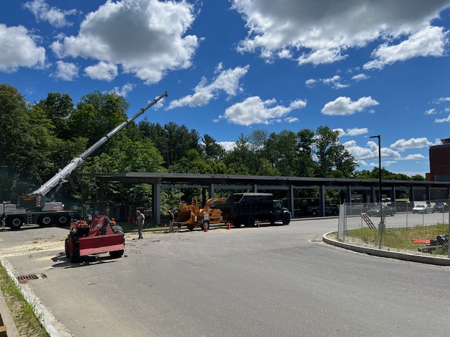 orion tree service lee nh tree company 9