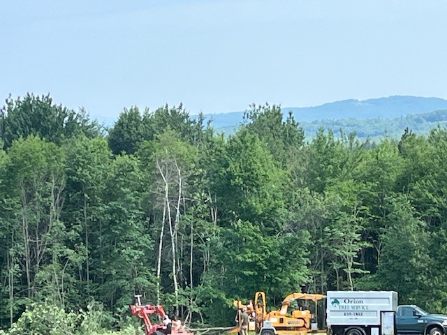 orion tree service new hampshire tree care 6