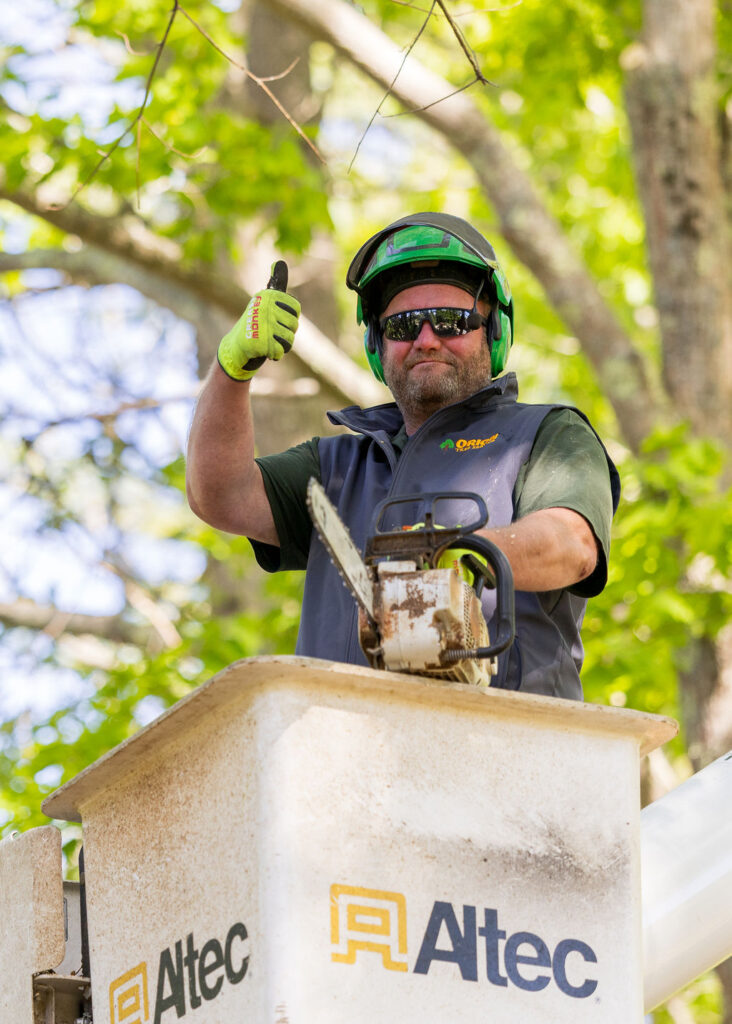 OrionTreeService 19