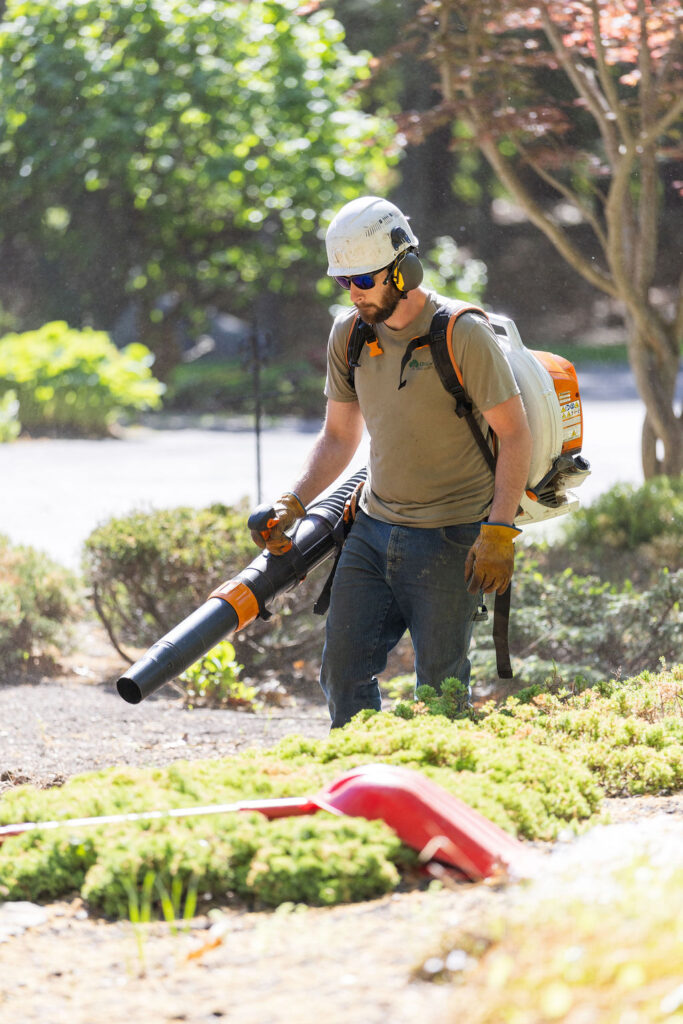 OrionTreeService 23