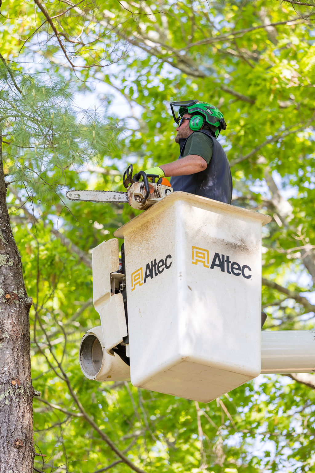 OrionTreeService 26