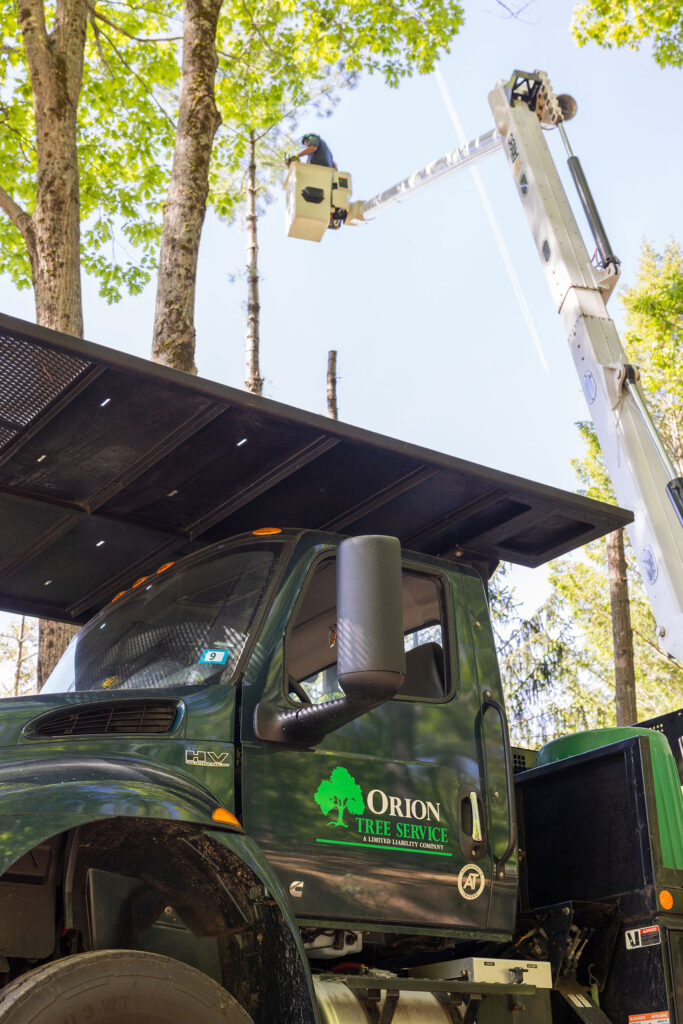 OrionTreeService 37