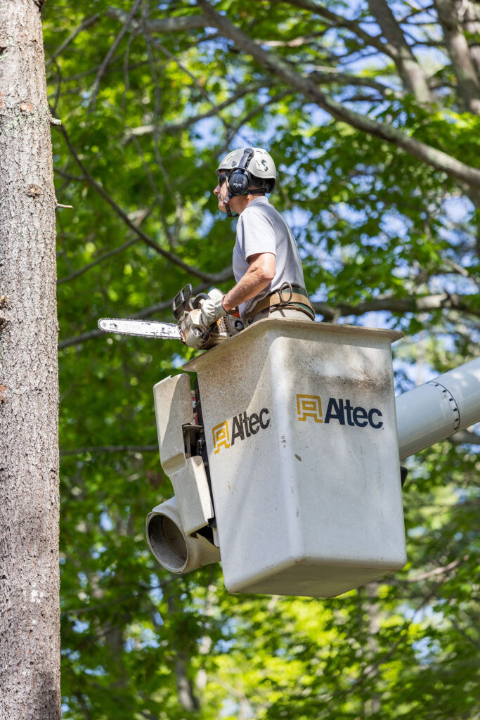 OrionTreeService 47