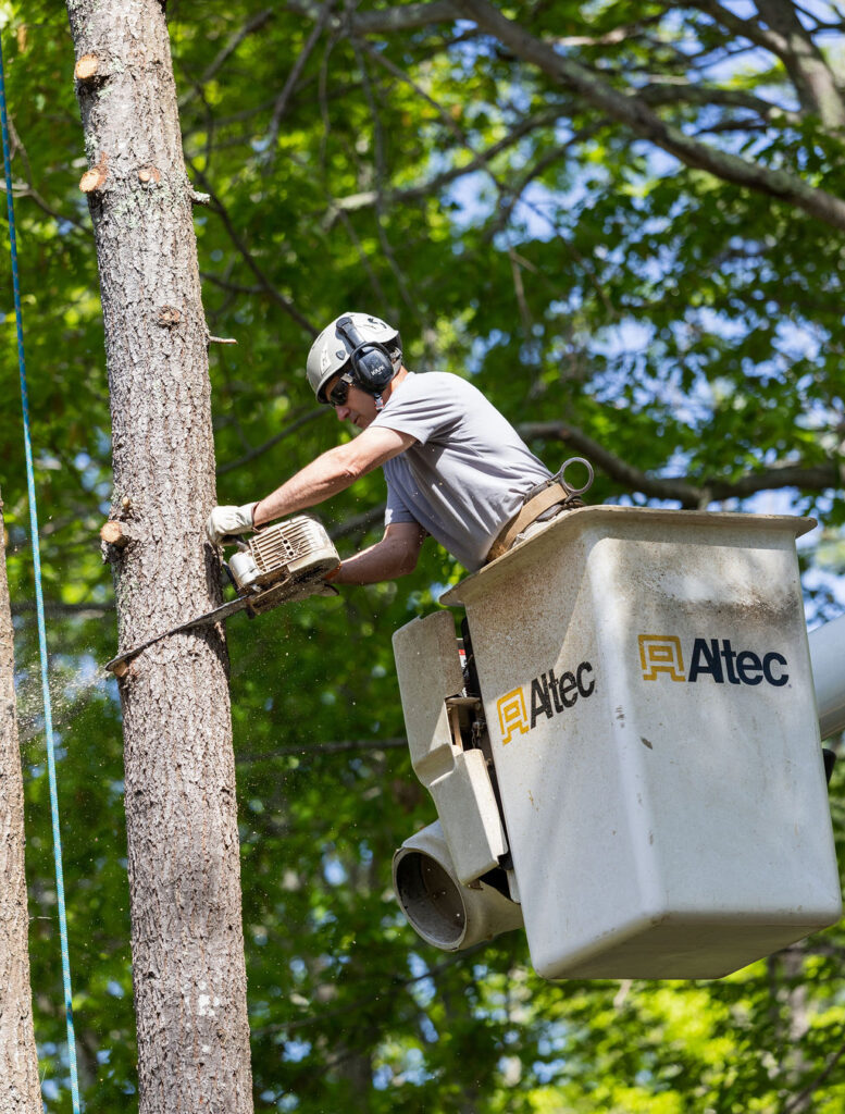 OrionTreeService 48