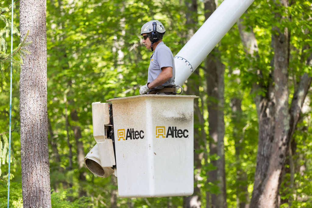 OrionTreeService 50