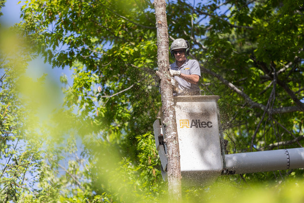 OrionTreeService 51