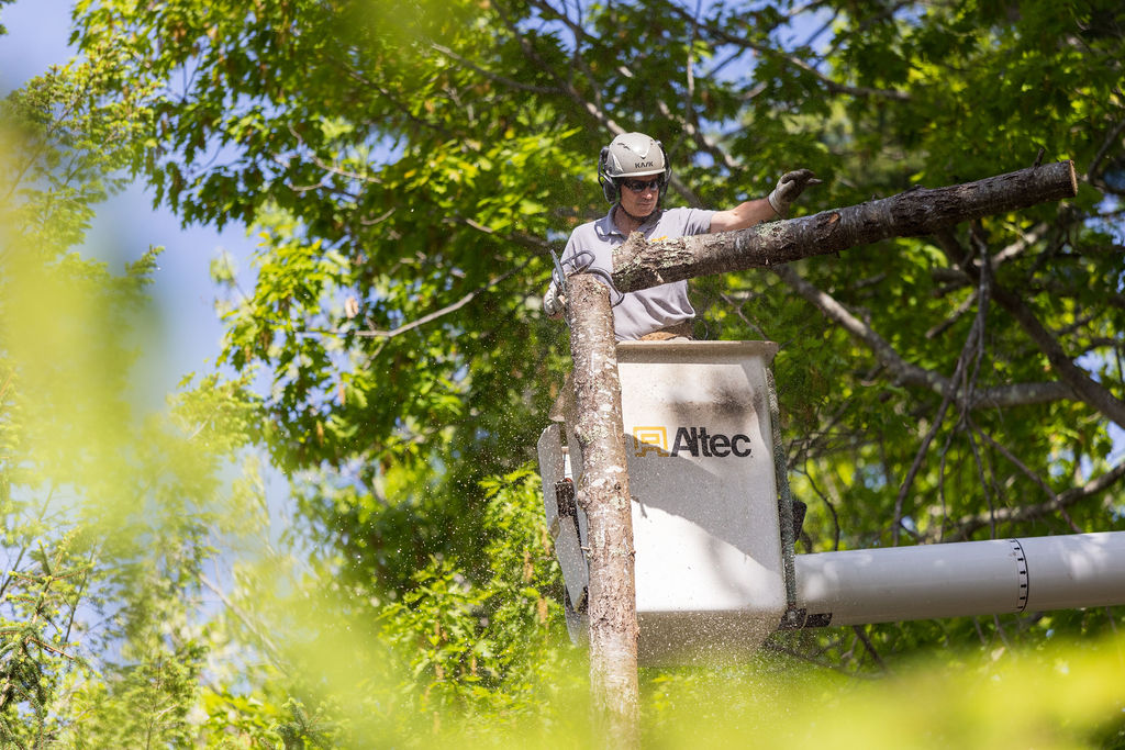 OrionTreeService 53