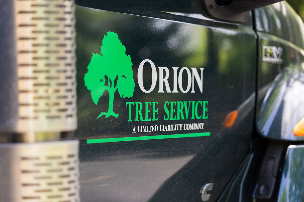 OrionTreeService 58