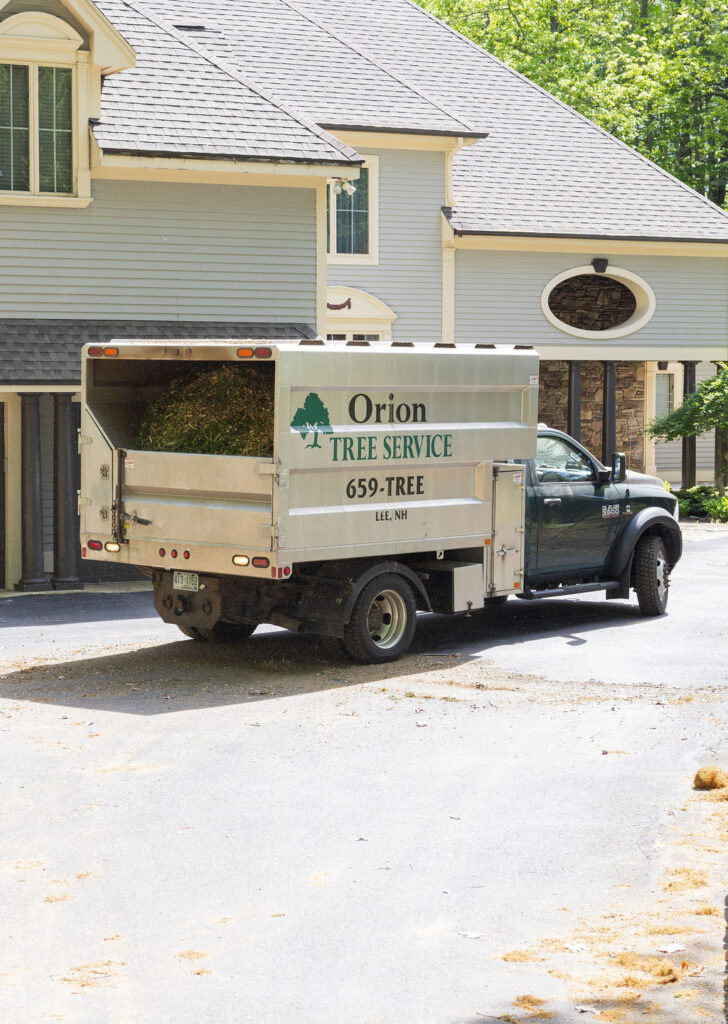 OrionTreeService 59