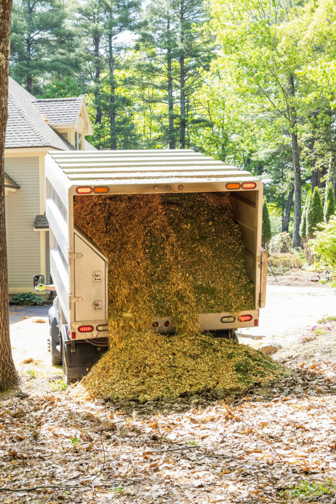 OrionTreeService 60