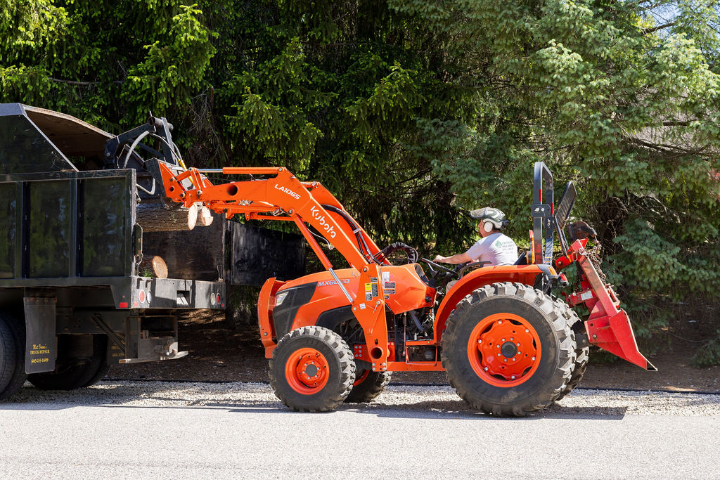 OrionTreeService 67