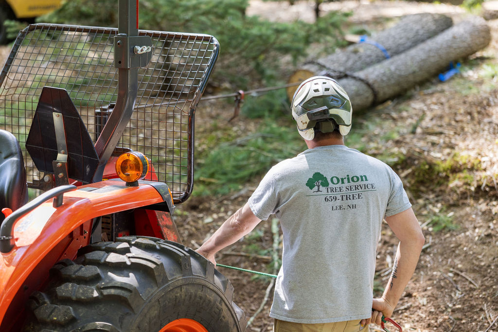 OrionTreeService 68