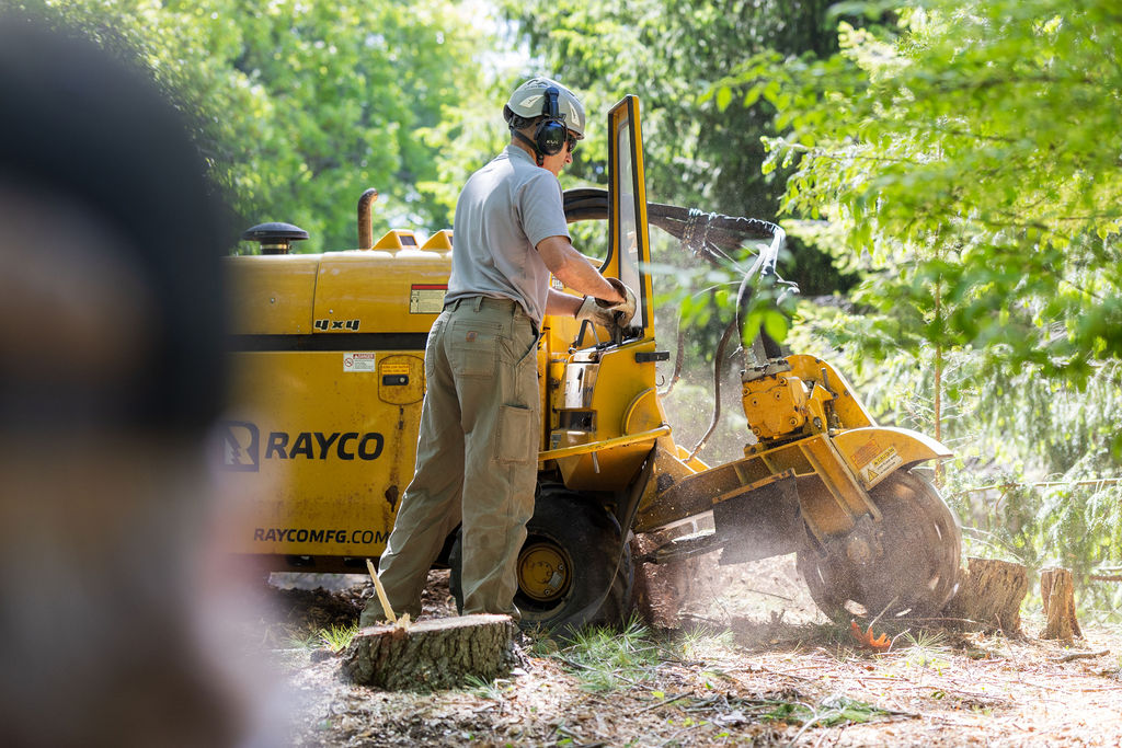 OrionTreeService 69