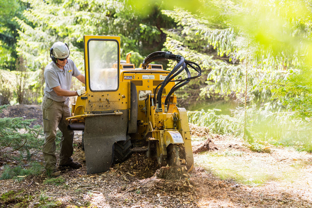 OrionTreeService 70