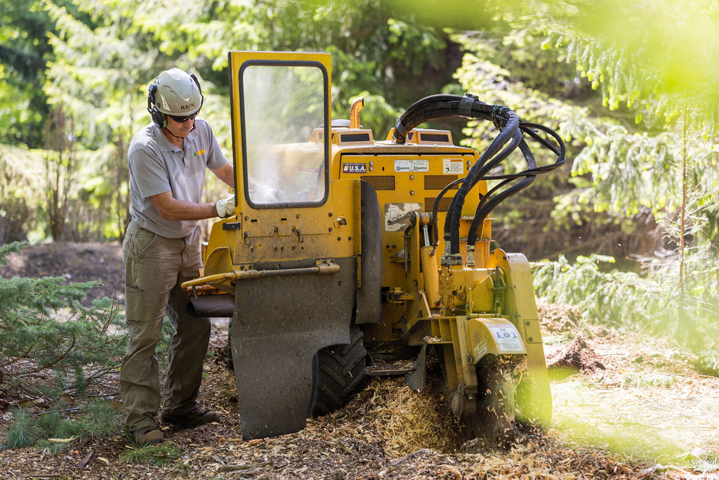 OrionTreeService 71