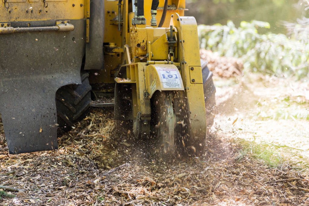 OrionTreeService 72