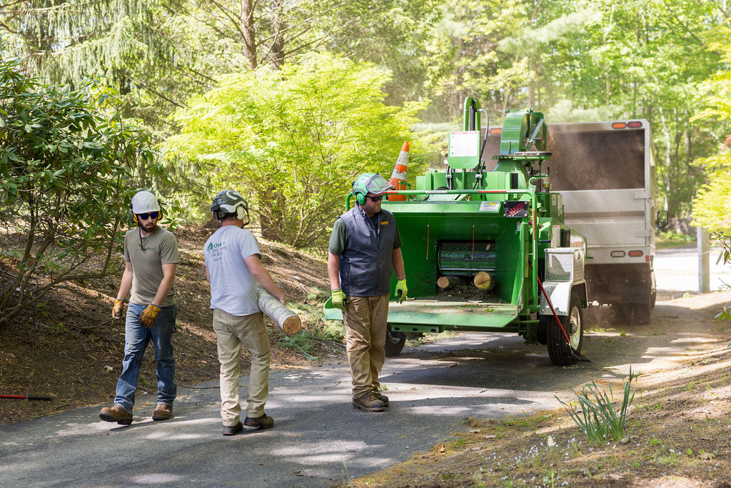 OrionTreeService 75