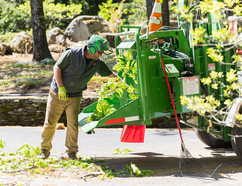 OrionTreeService 79