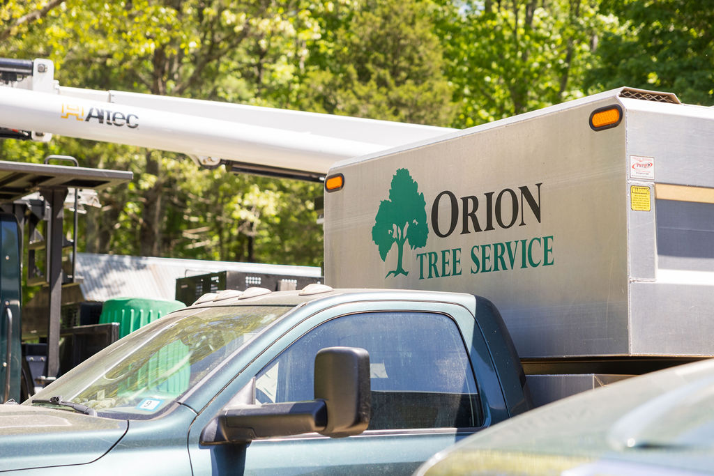 OrionTreeService 83