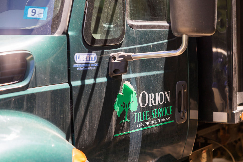 OrionTreeService 84