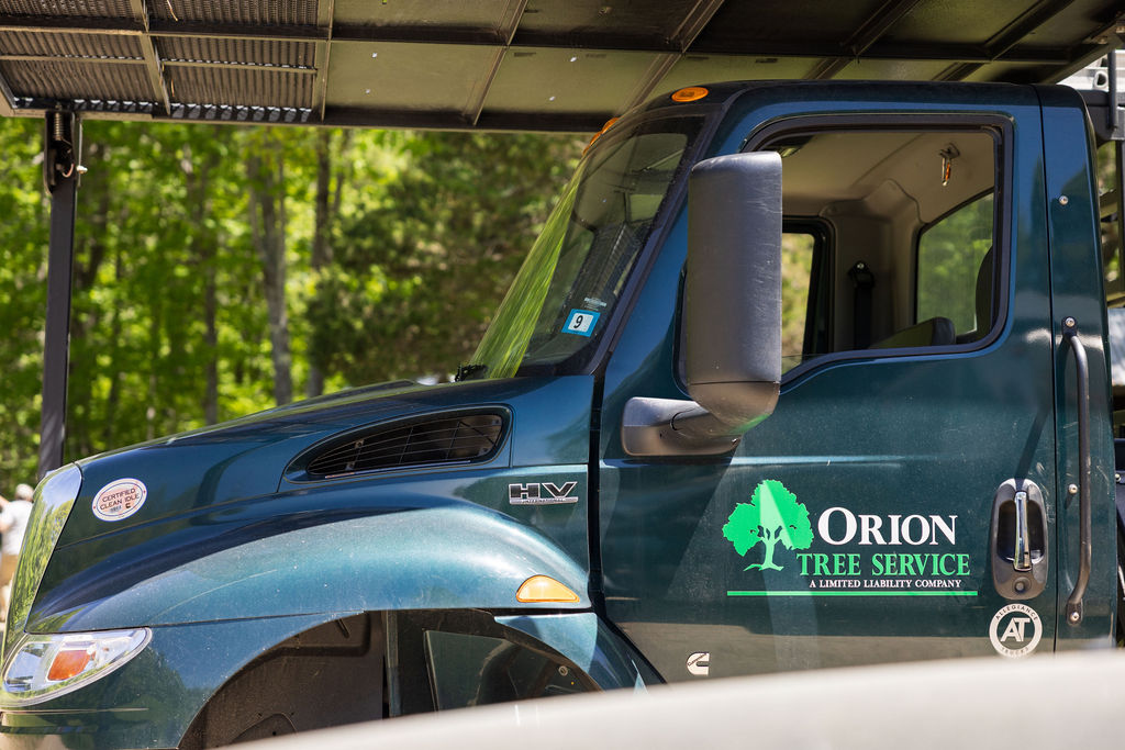 OrionTreeService 85