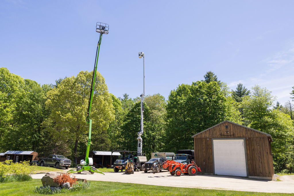OrionTreeService 86