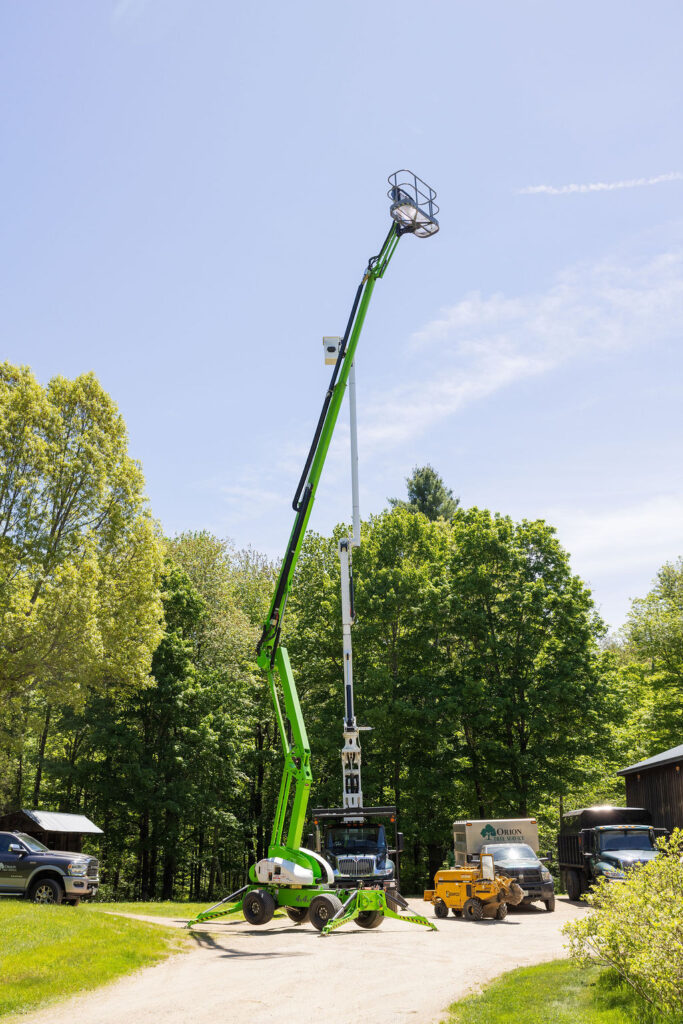 OrionTreeService 89