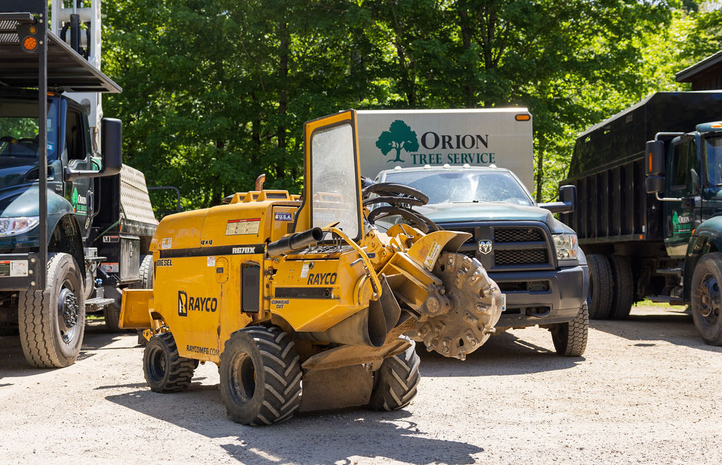 OrionTreeService 95