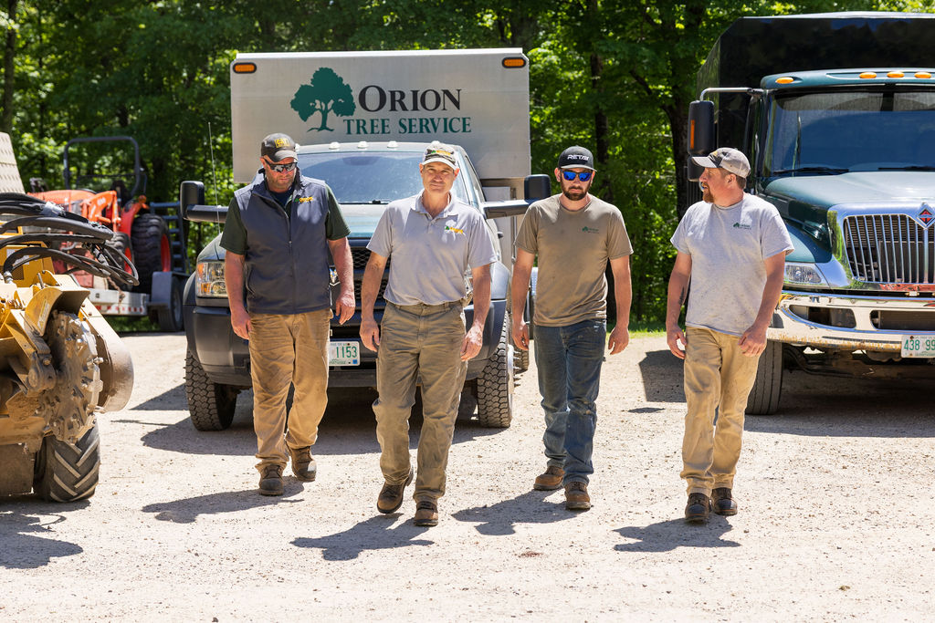 OrionTreeService 98