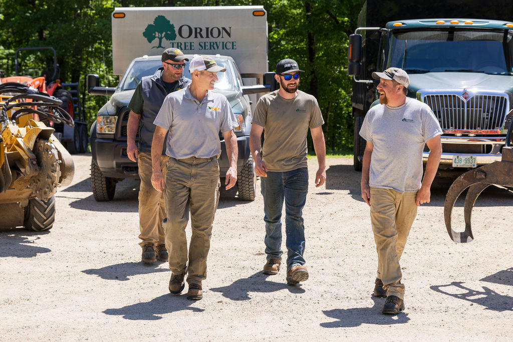 OrionTreeService 99